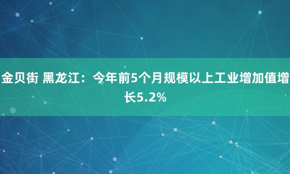 金贝街 黑龙江：今年前5个月规模以上工业增加值增长5.2%