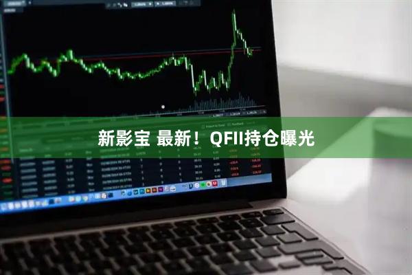 新影宝 最新！QFII持仓曝光