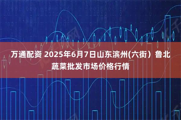 万通配资 2025年6月7日山东滨州(六街）鲁北蔬菜批发市场价格行情
