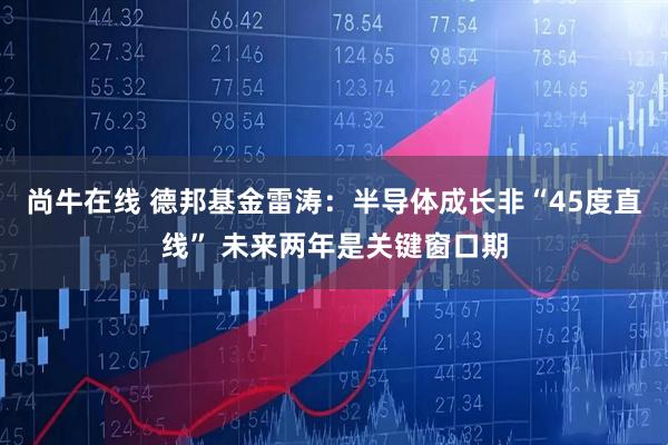 尚牛在线 德邦基金雷涛：半导体成长非“45度直线” 未来两年是关键窗口期